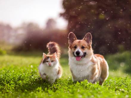 San Antonio, TX divorce lawyer